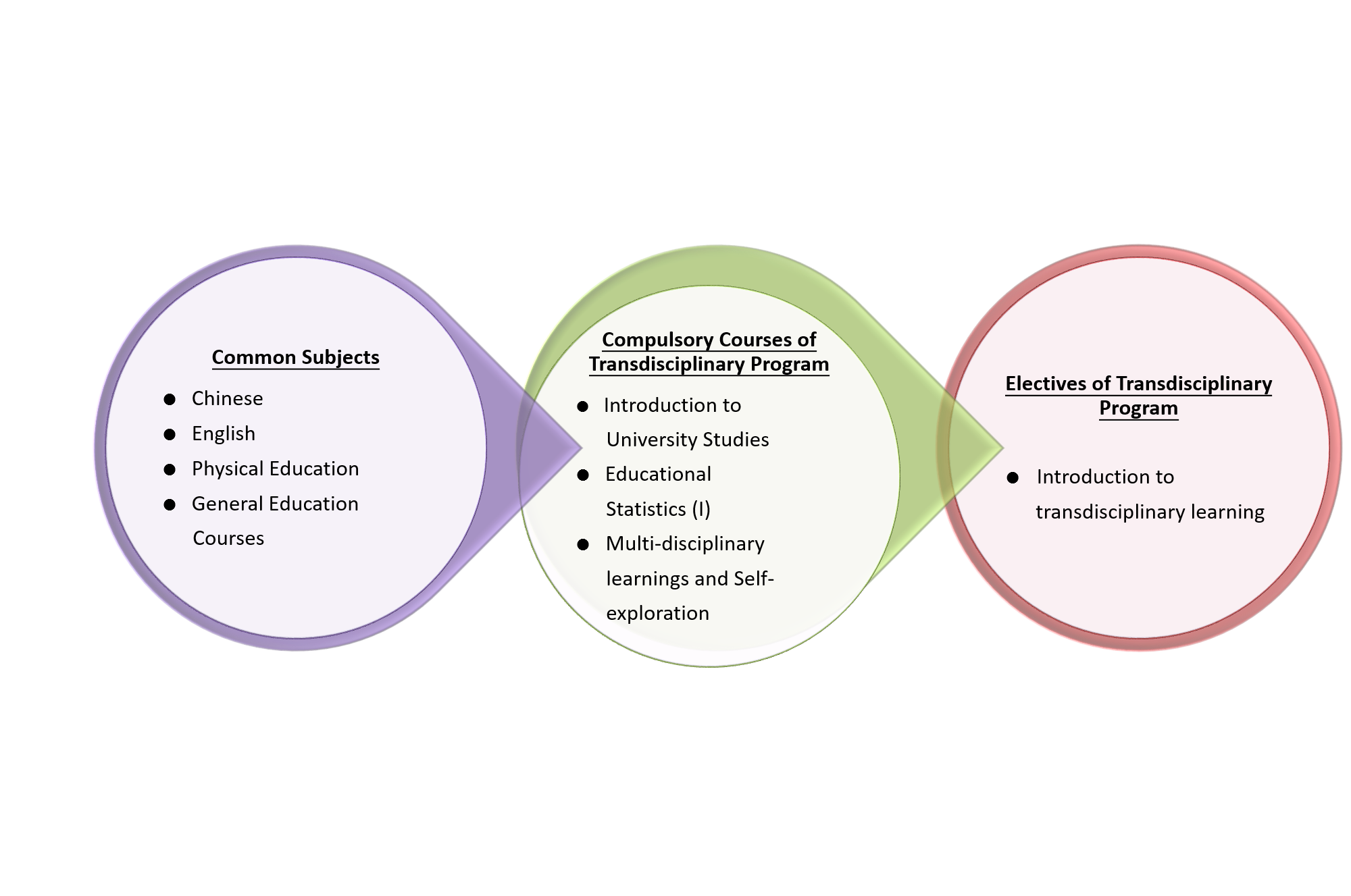 General courses, compulsory courses and electives of the program 