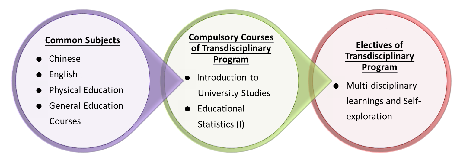 General courses, compulsory courses and electives of the program
